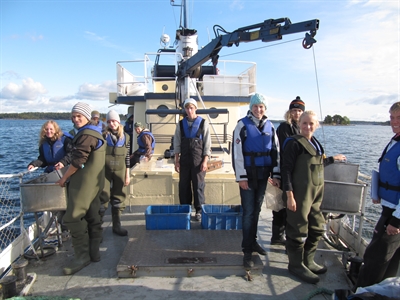 Sedimentsprover - Petsamo Labs Marina läroverket, Stocksund